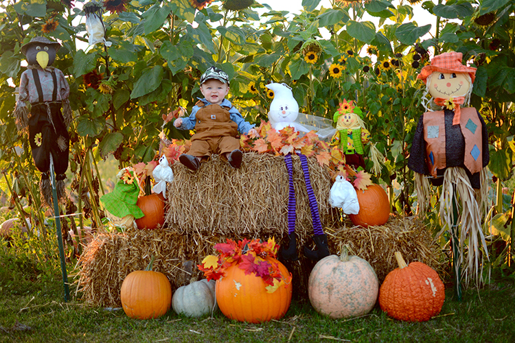 Fall, Pumpkin Patch | My Darling Days Fall, Pumpkin Patch | My Darling Days