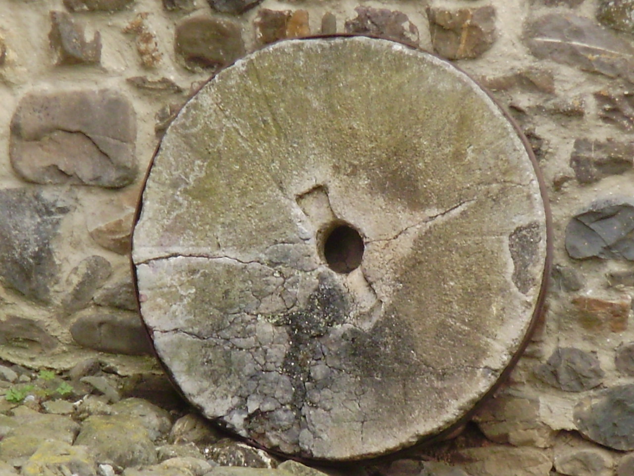 bonsaicodelia: FLORES,PAISAJES,PIEDRAS III.