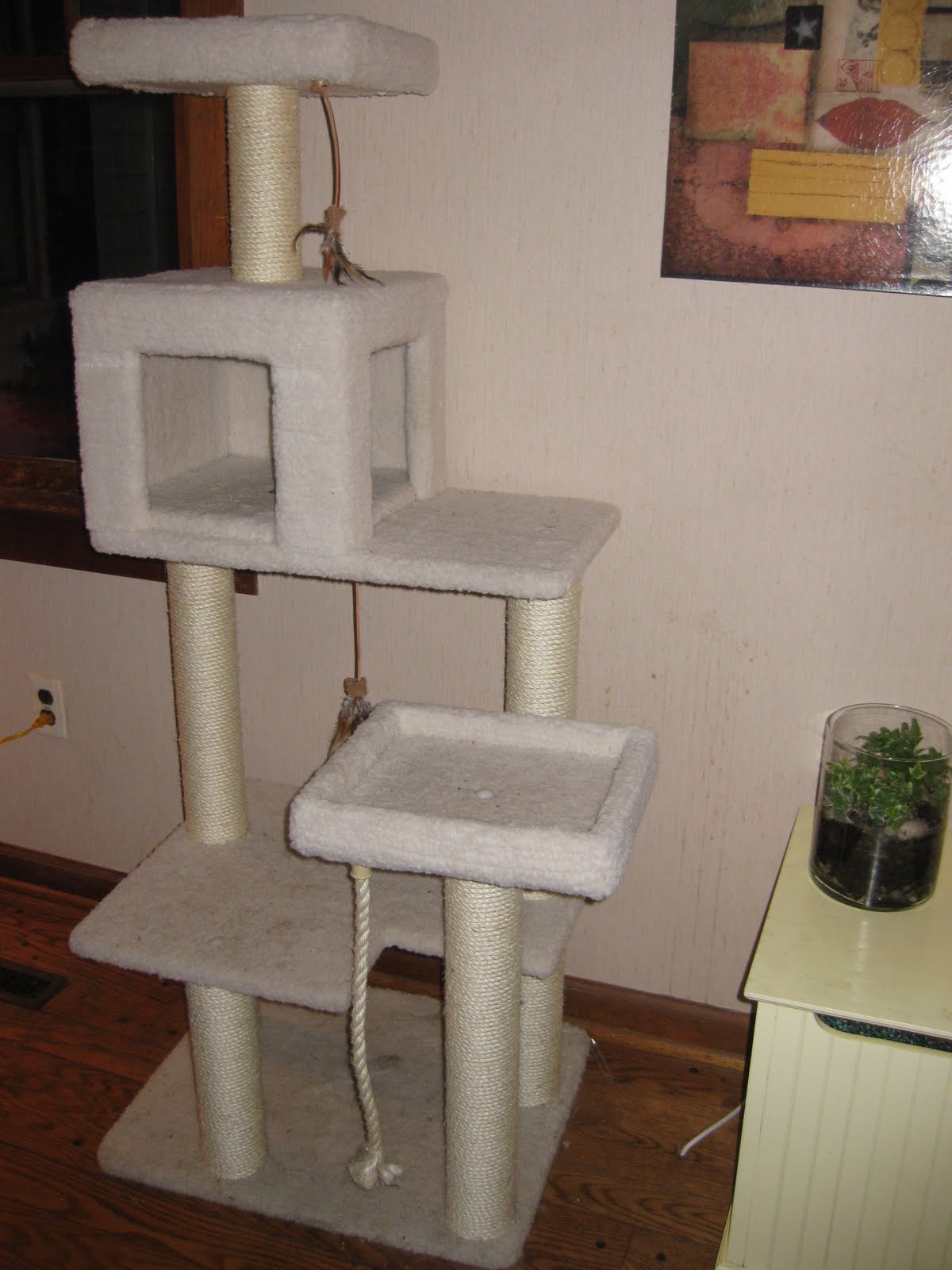 here-kitty-kitty-review-petco-premium-cat-tree