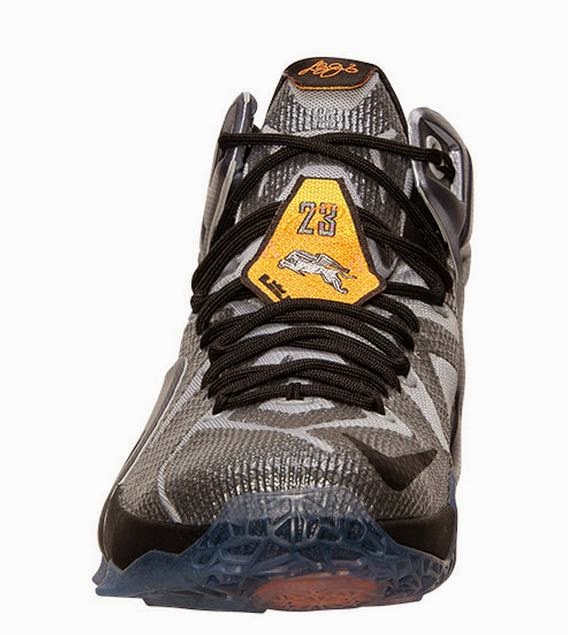 nike lebron 12 flight