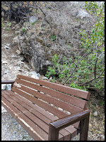 Bench on Trail up to Y