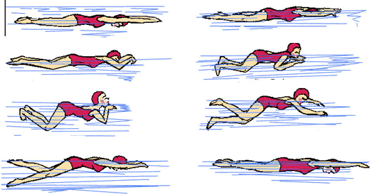 Gerakan Renang Gaya Dada