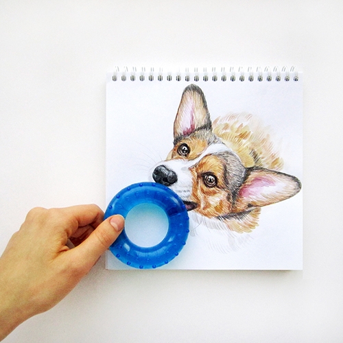 19-Play-Time-Valerie-Susik-Валерия-Суслопарова-Cats-and-Dogs-Interactive-Animal-Drawings-www-designstack-co
