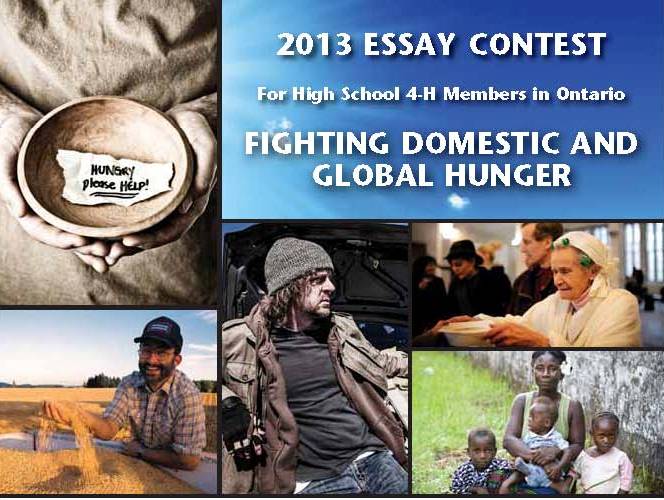 Essay contests for high school students