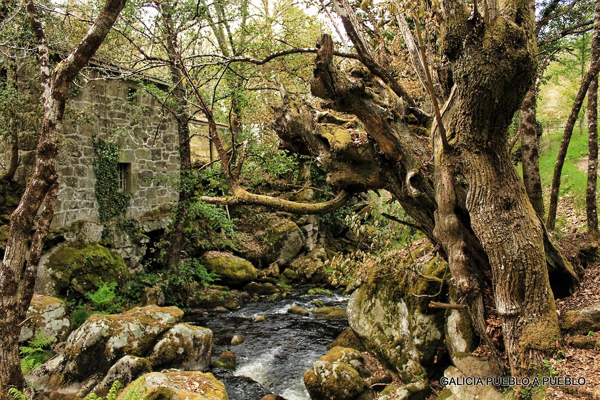 muíño río Edo (Castro Caldelas)