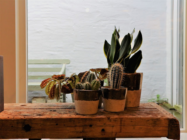 Raw Materials / Atelier rue verte /