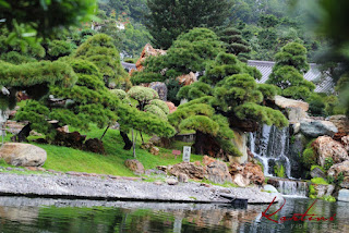 Nan Lian Garden : Taman KLasik Nan Cantik di Hong Kong Ala Dinasti Tang 