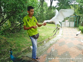 Jalan-Jalan ke Bird Park Kuala Lumpur Jalan-Jalan ke Bird Park Kuala Lumpur