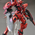 Custom Build: MG 1/100 Gundam Exia "Char Custom"