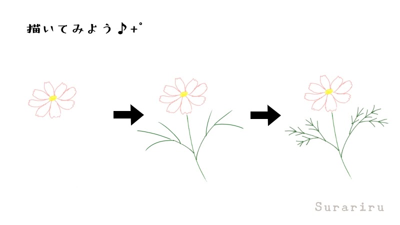 簡単なコスモスの花のイラストの描き方 ボールペンイラストと水彩 遠北ほのかのsurariru