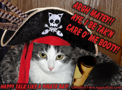 Anakin Two Legged Cat Happy Talk Like A Pirate Day