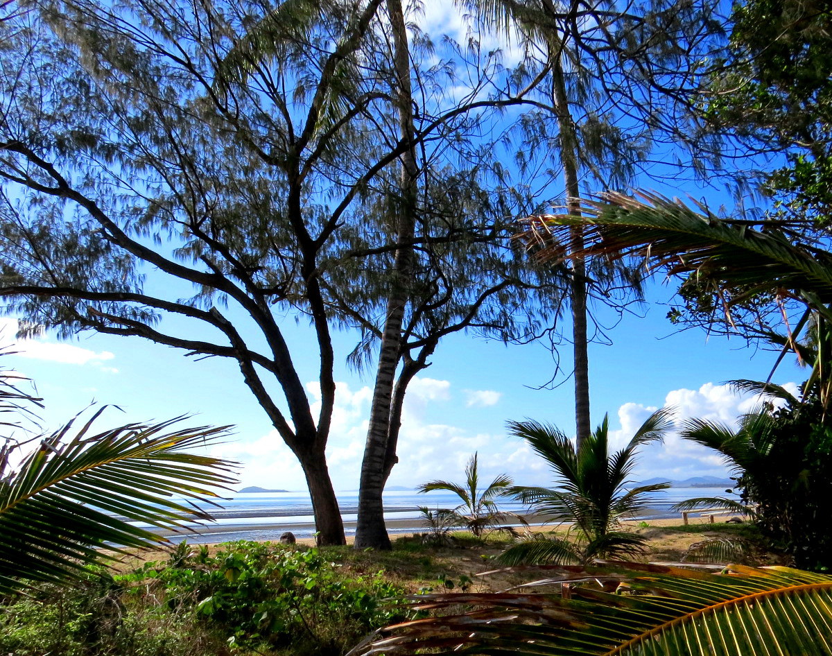 Regular Updates on our News MIDGE POINT BEACH