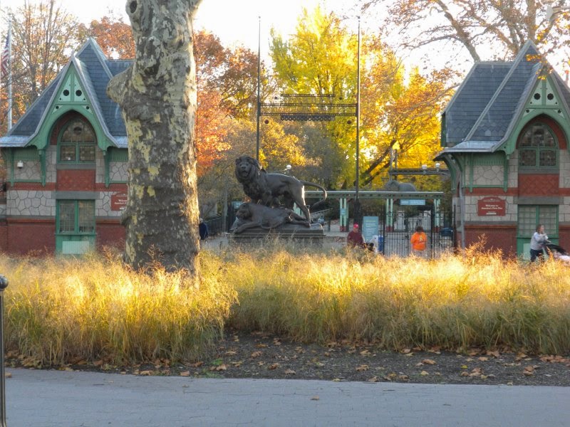 The Zoo Review Zoo Review Philadelphia Zoo