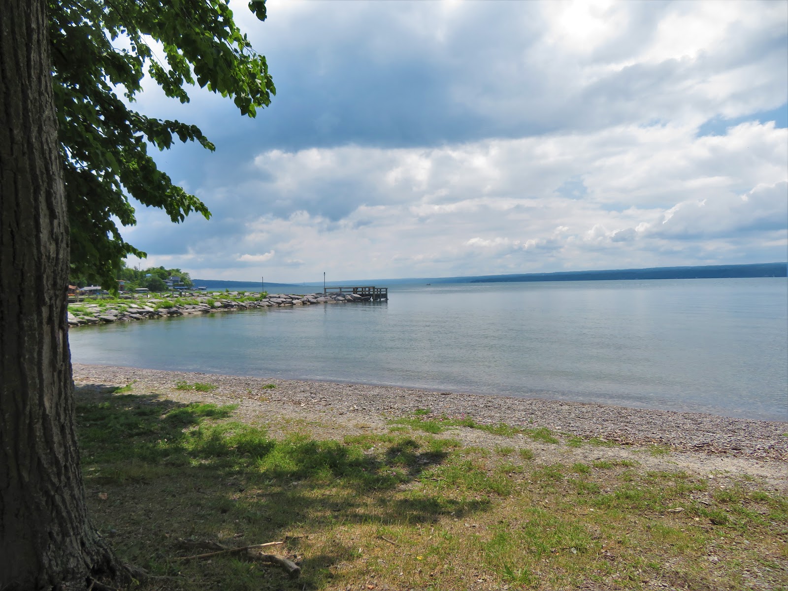 Hiking Walking in the Woods CAYUGA LAKE