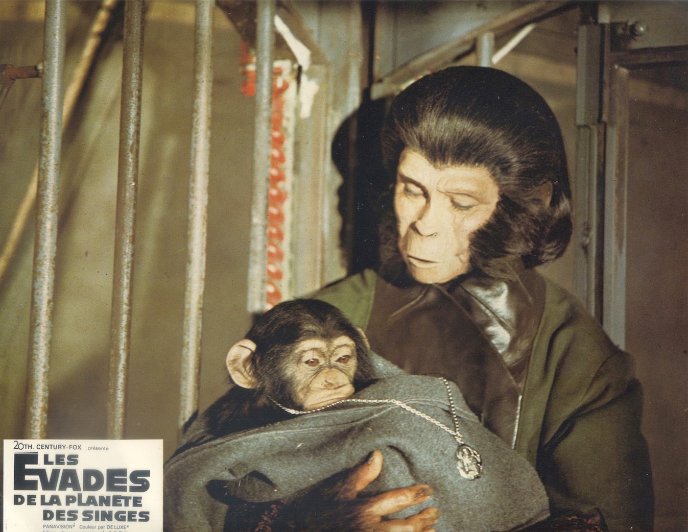 Archives Of The Apes Escape From The Of The Apes (1971) Part 27