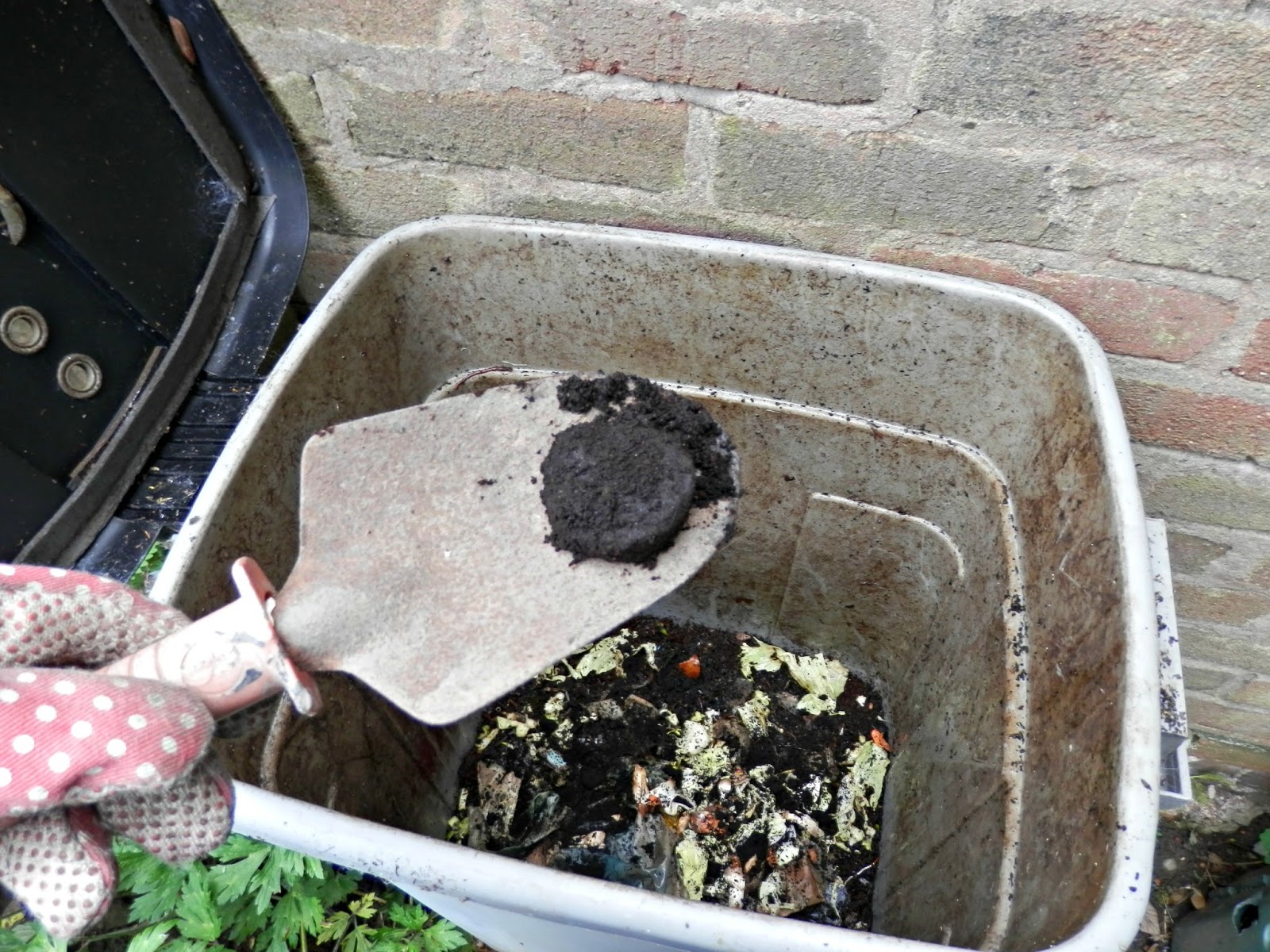 Second Hand Susie 3 ways to use used coffee grounds in the garden.