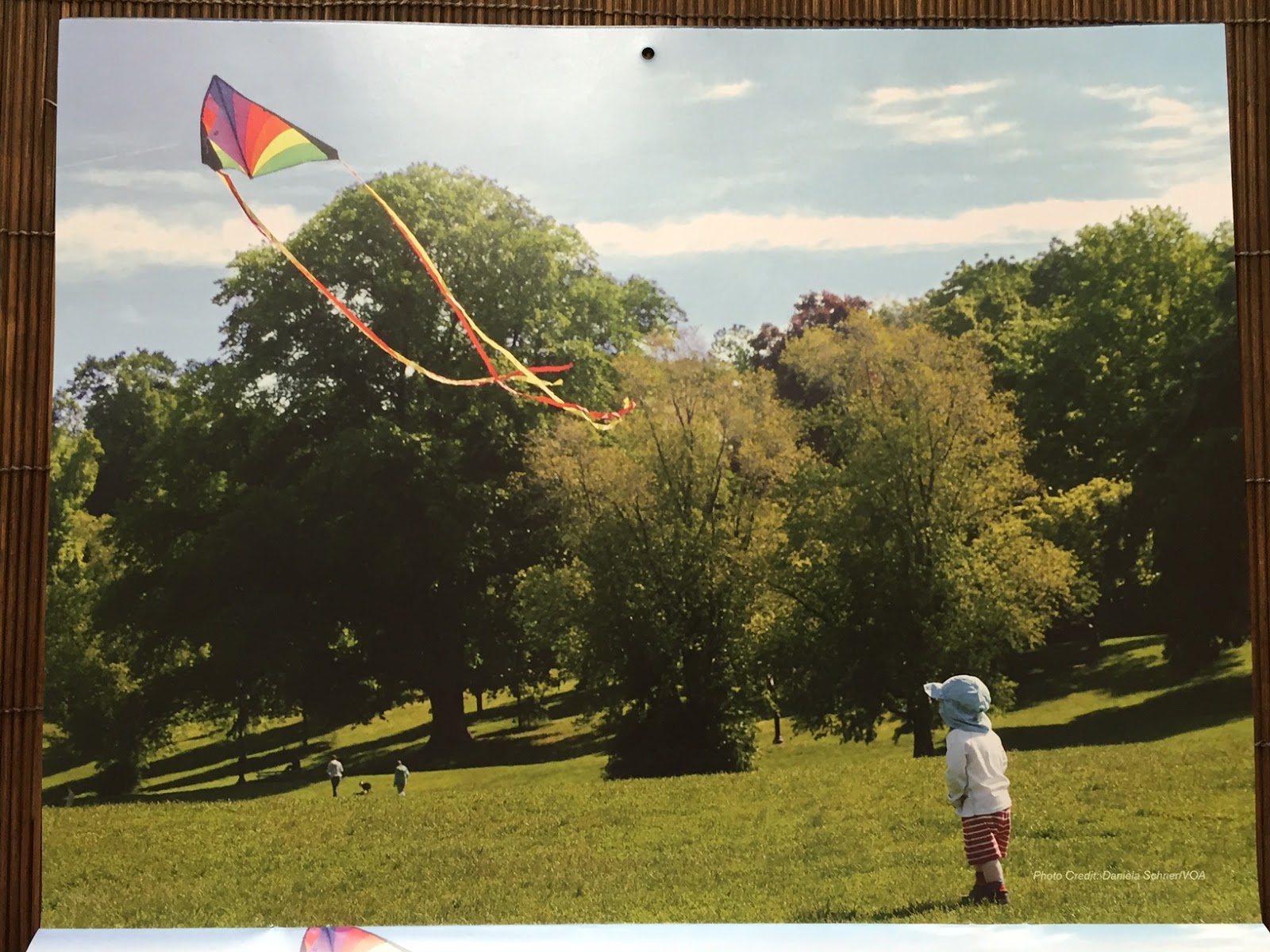 bcl-2016-5-unseen-new-york-calendar