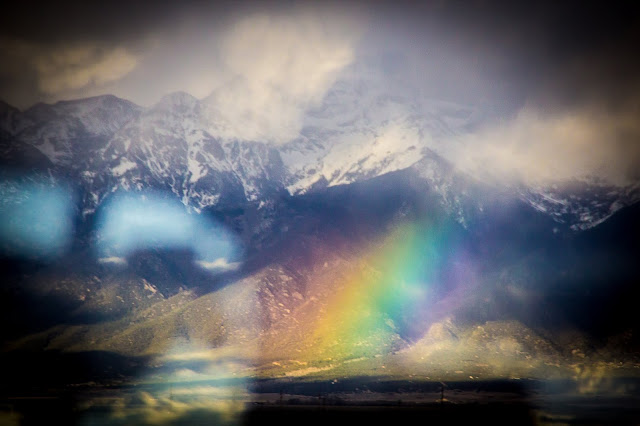 Gapp 2019 Ruperti Doherty