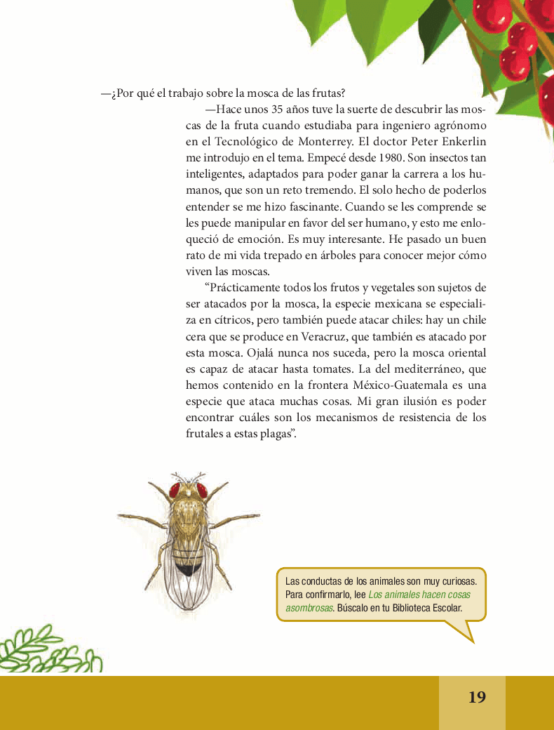 Estoy enamorado de las moscas de la fruta; son fascinantes: Ramón Aluja - Español Lecturas 6to 2014-2015 