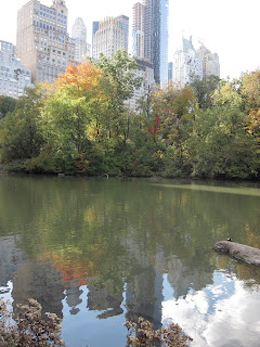 Central Park, the Pond, buildings surround and reflect in the water