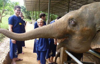 Baanchang Elephant Park de Chiang Mai.
