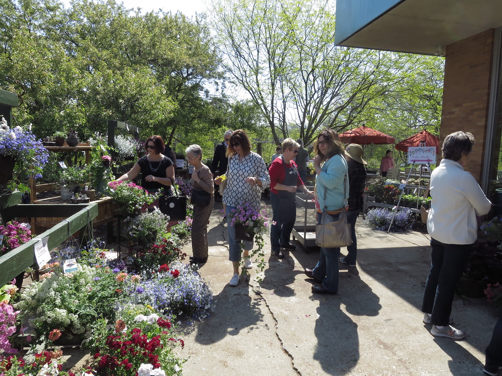 My Favorite Pastime Shopping For Plants Ramblings From A