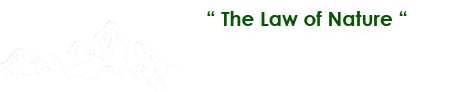 Sarathy the Traveler 