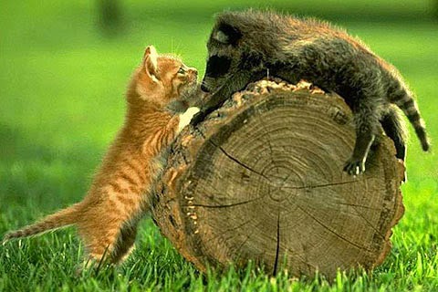 Best Beautiful Wallpaper