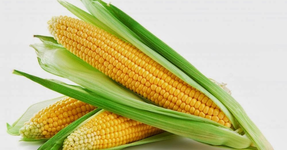 Classification Of Whole Grain Corn (E) Dee Nutrition