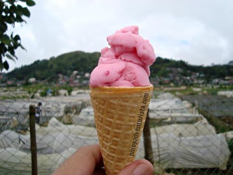 Where to find strawberry Ice Cream in Baguio