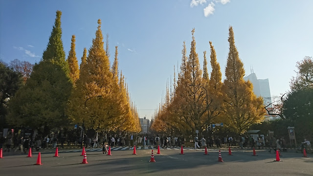 ヴァージニアはどのようにして顔をスリムにしたのでしょうか？
