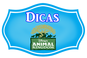 Dicas Animal Kingdom