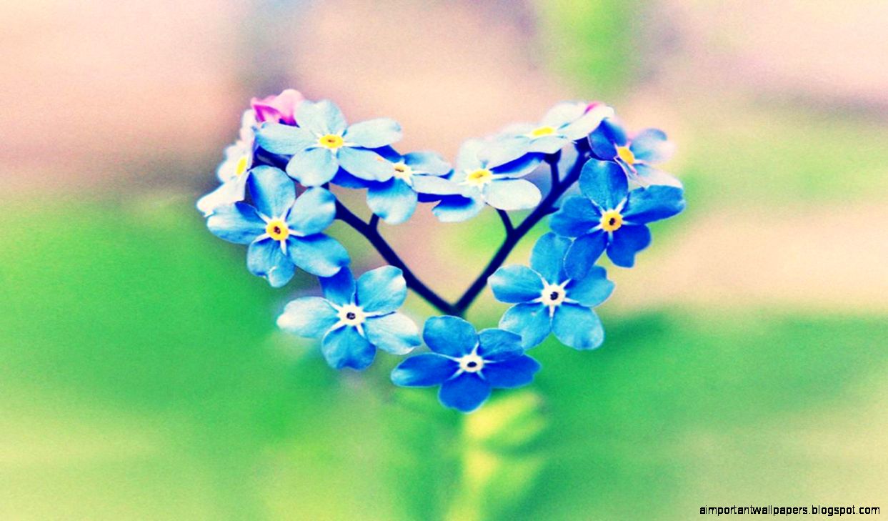 blue flower heart love facebook timeline cover1366×76866250