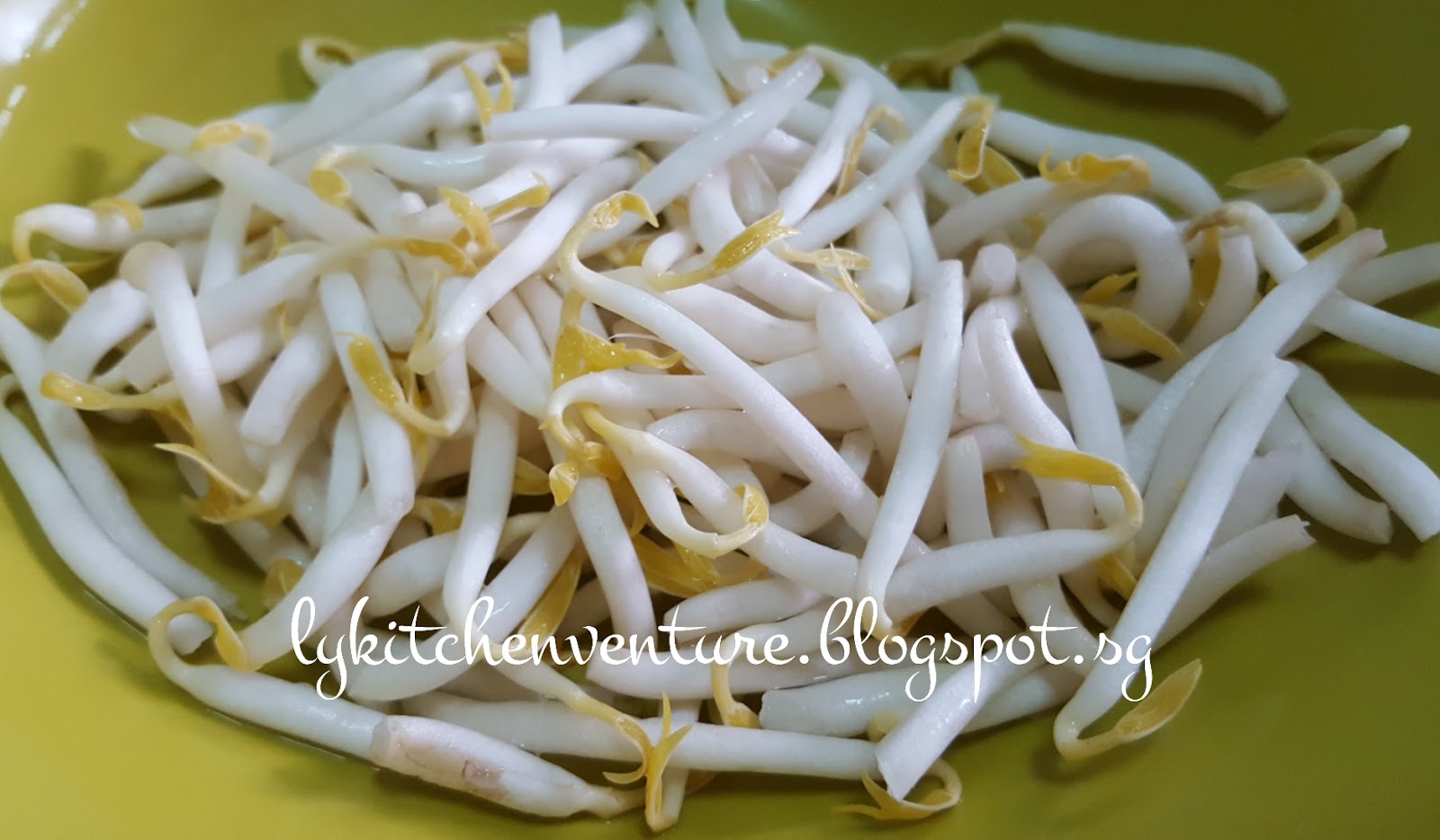 LY's Kitchen Ventures Fried Tang Hoon (Fried Glass Noodles)