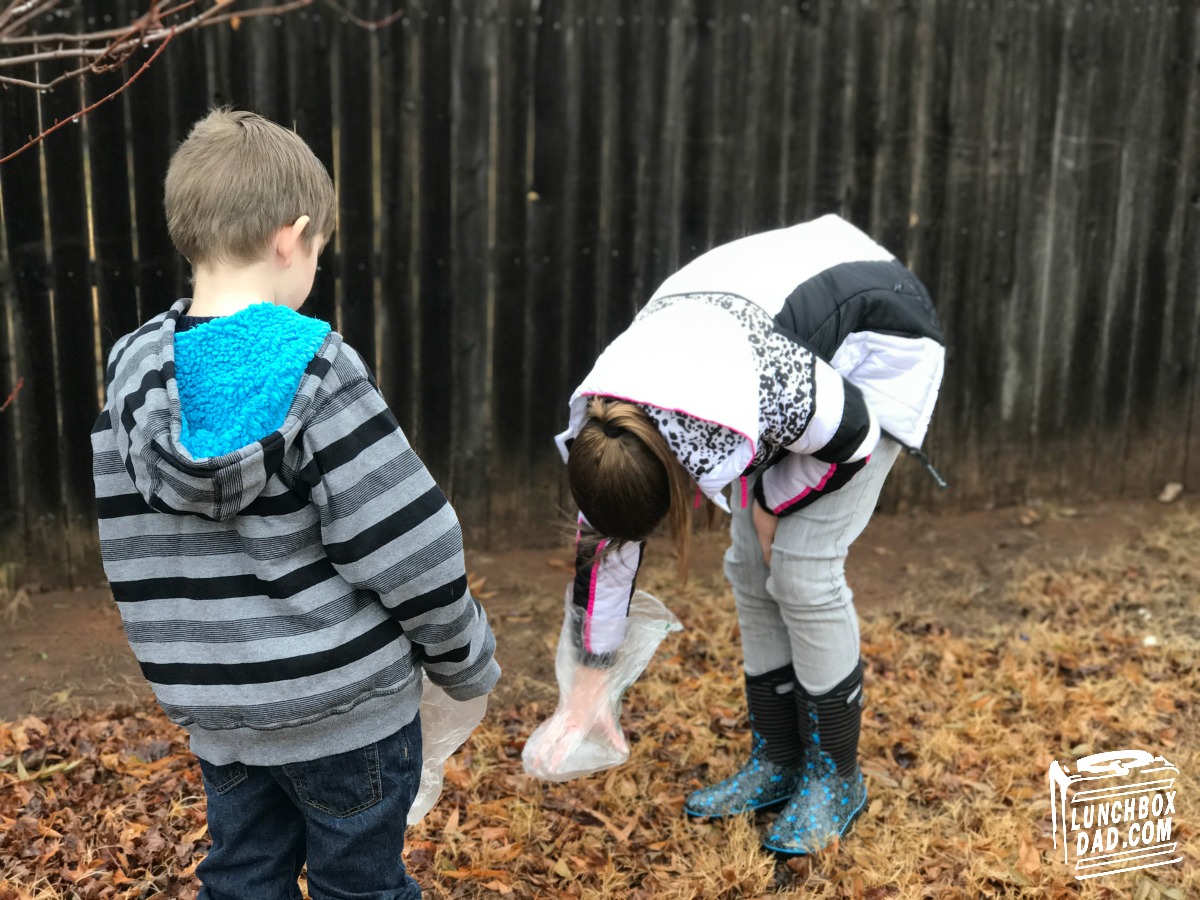 Lunchbox Dad: 7 Ways Kids Can Take Care of the Family Dog