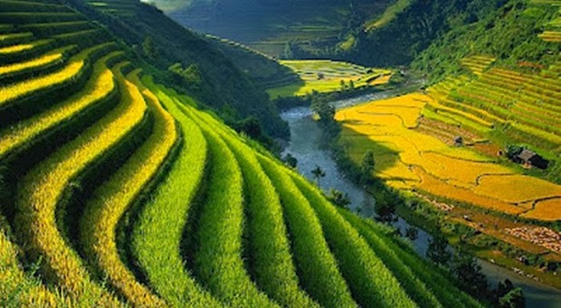 Sawah Terasering di Banaue, Filipina