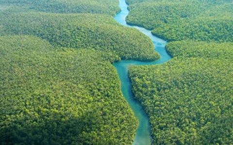 Terras da Amazônia Legal são destinadas para reforma agrária