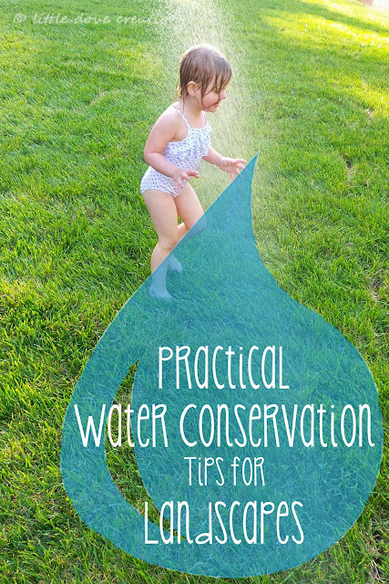 practical water conservation tips for landscapes