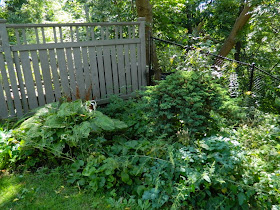 Baby Point garden cleanup before Paul Jung Gardening Services Toronto