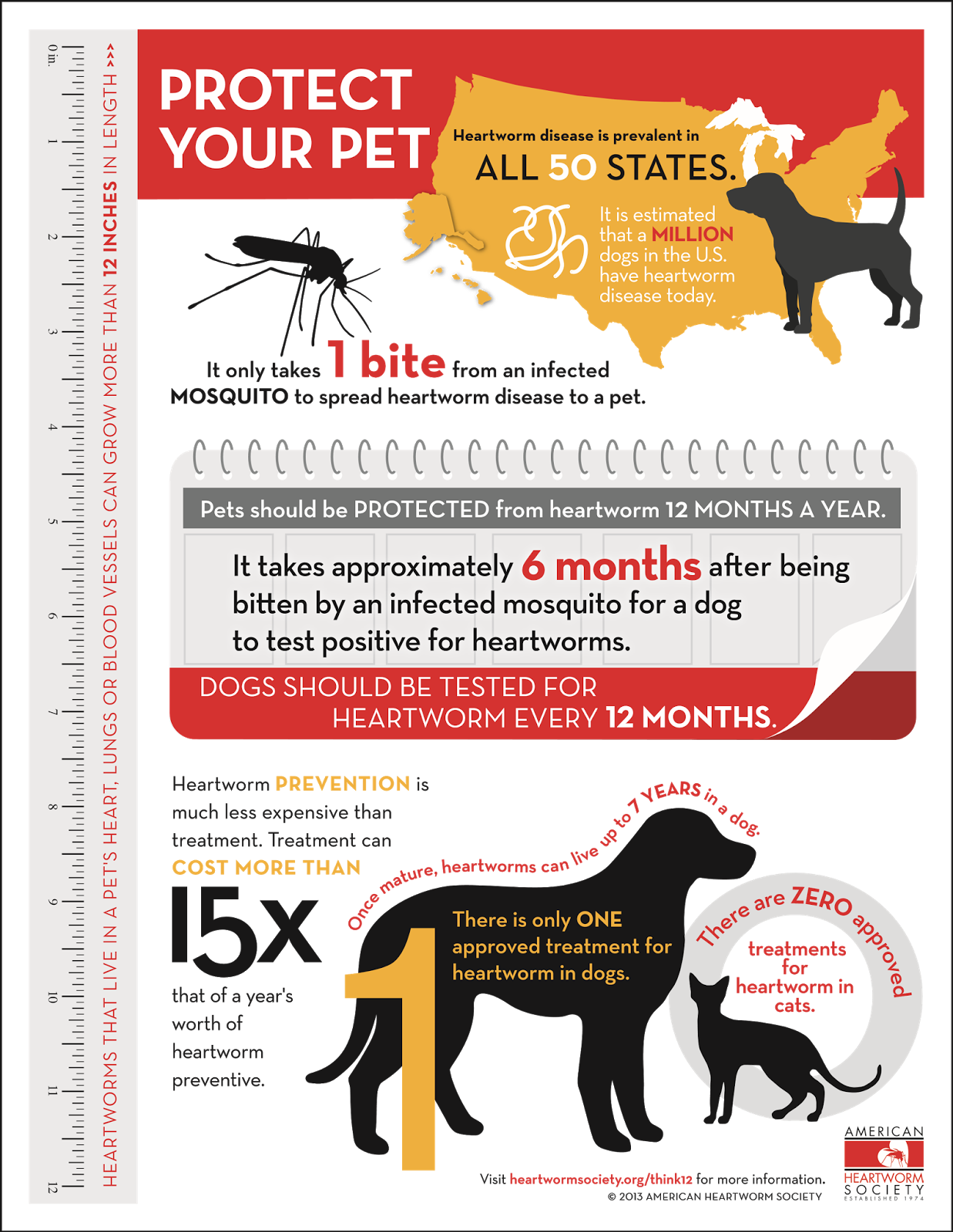 Topic of the Month Heartworm & Your Pet...