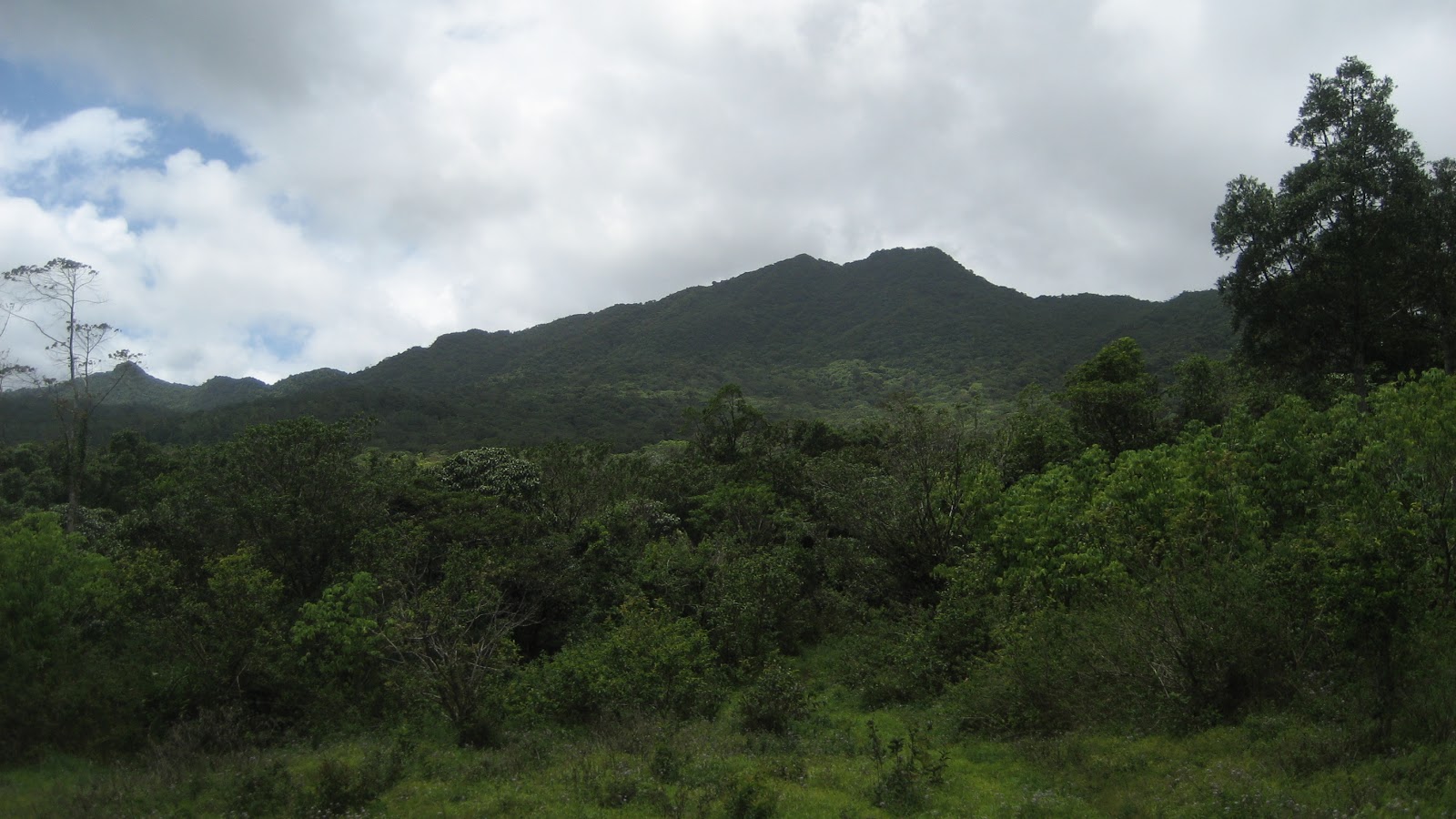 BLOG DO PROFESSOR MARCIANO DANTAS AS ILHAS FIJI