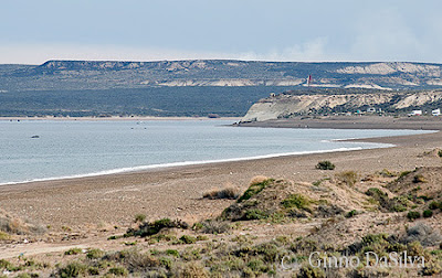 Protected Natural Area El Doradillo - Puerto Madryn