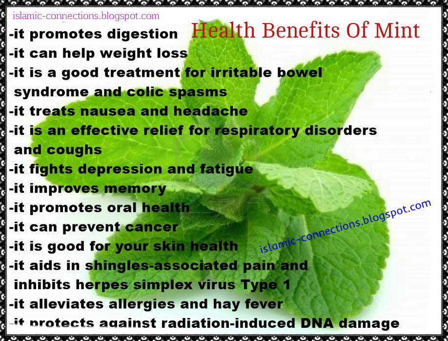 Health Benefits Of Mint islamicconnections