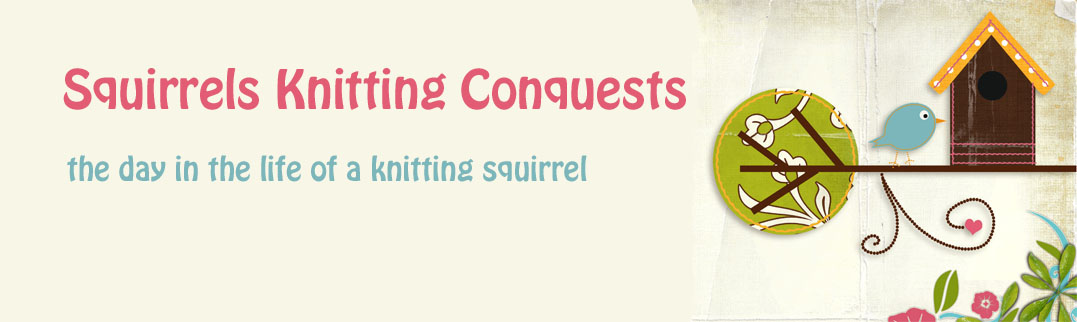 Squirrels  Knitting  Conquests