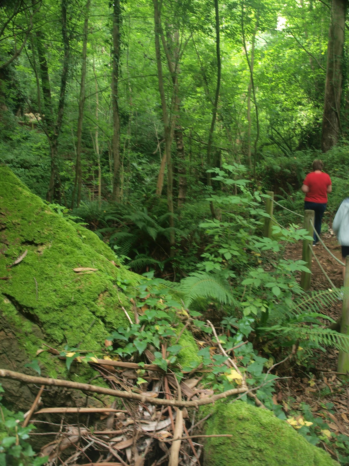 photoxperiences Las cuevas de Andía Andia Caves As Covas da Andía