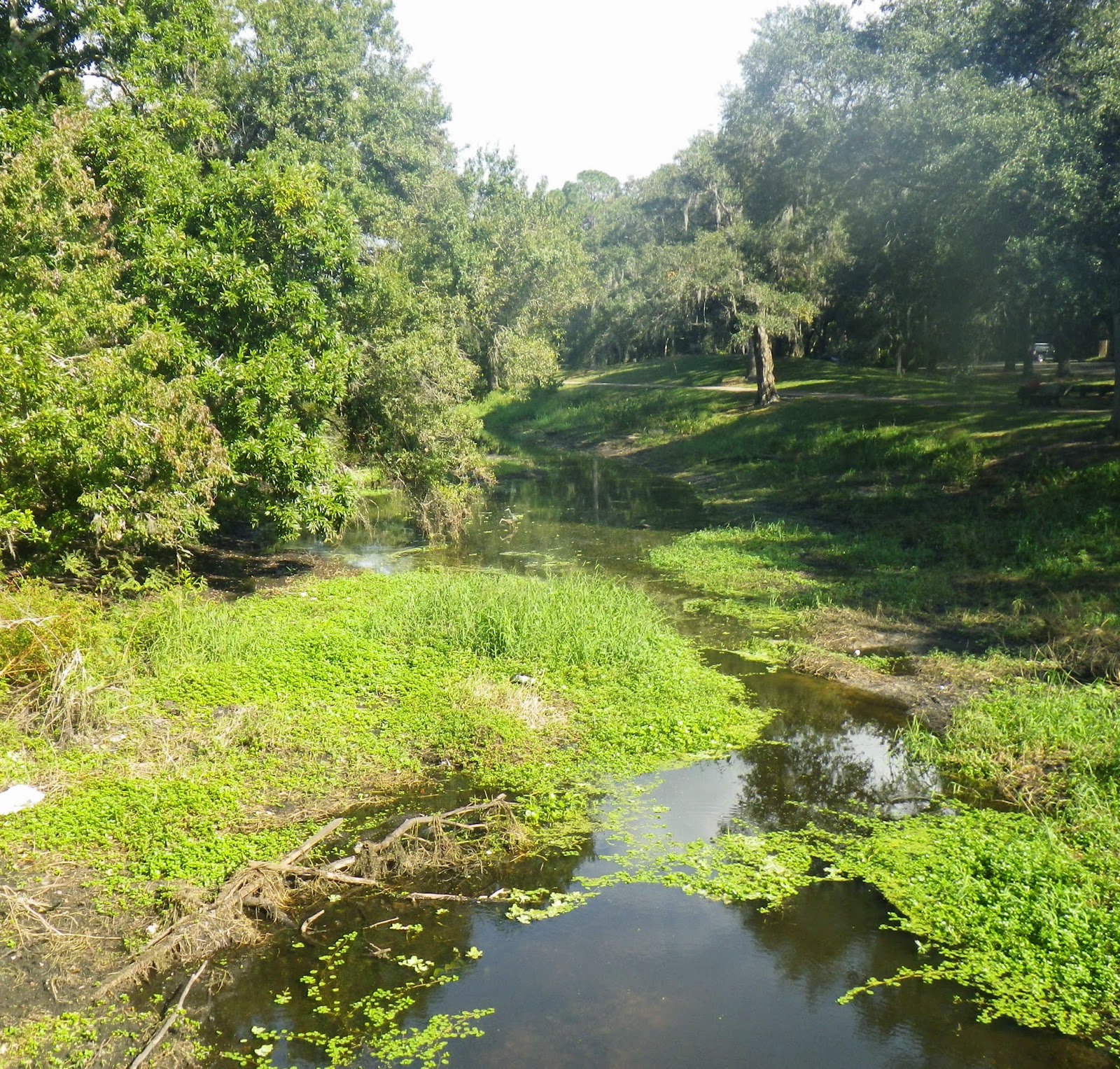 Doing It On The Road(Part II) Sawgrass Lake Park, The Color of the Day