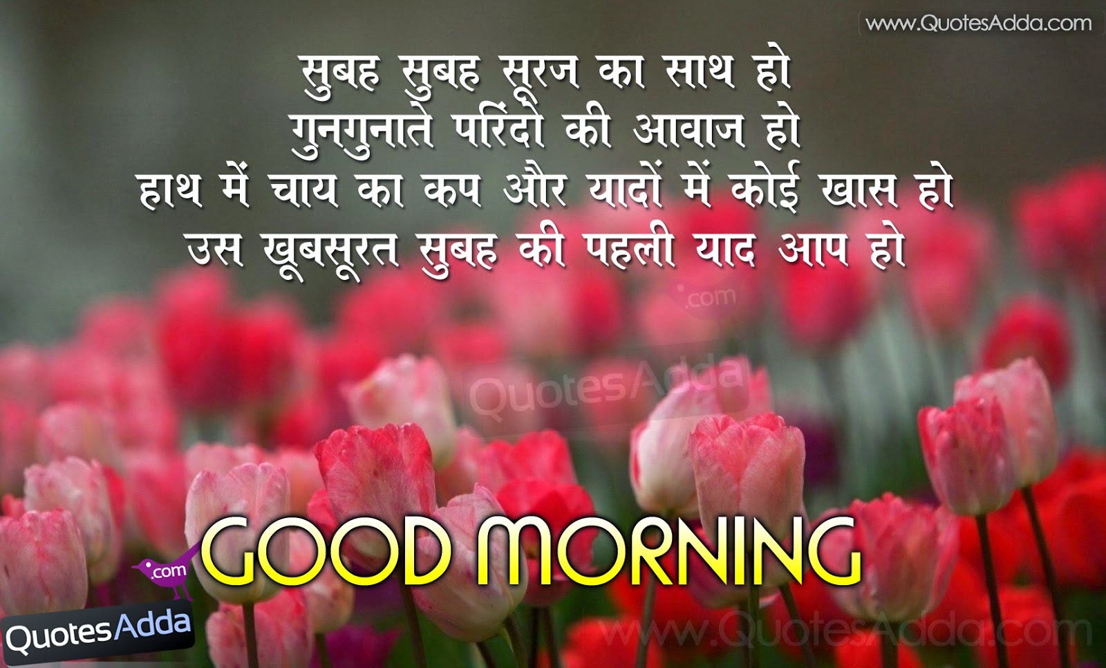 Best Hindi Shayari Love Hindi Shayari Dosti In English Love Romantic Image SMS s Impages Pics Wallpapers