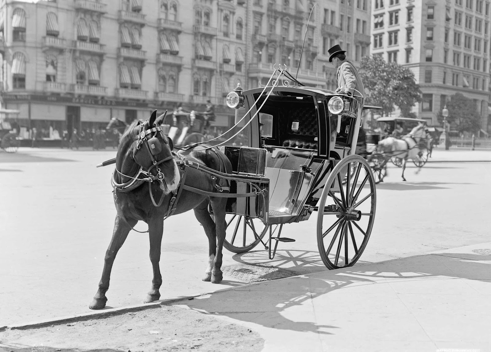 History in Photos Horse and Buggy
