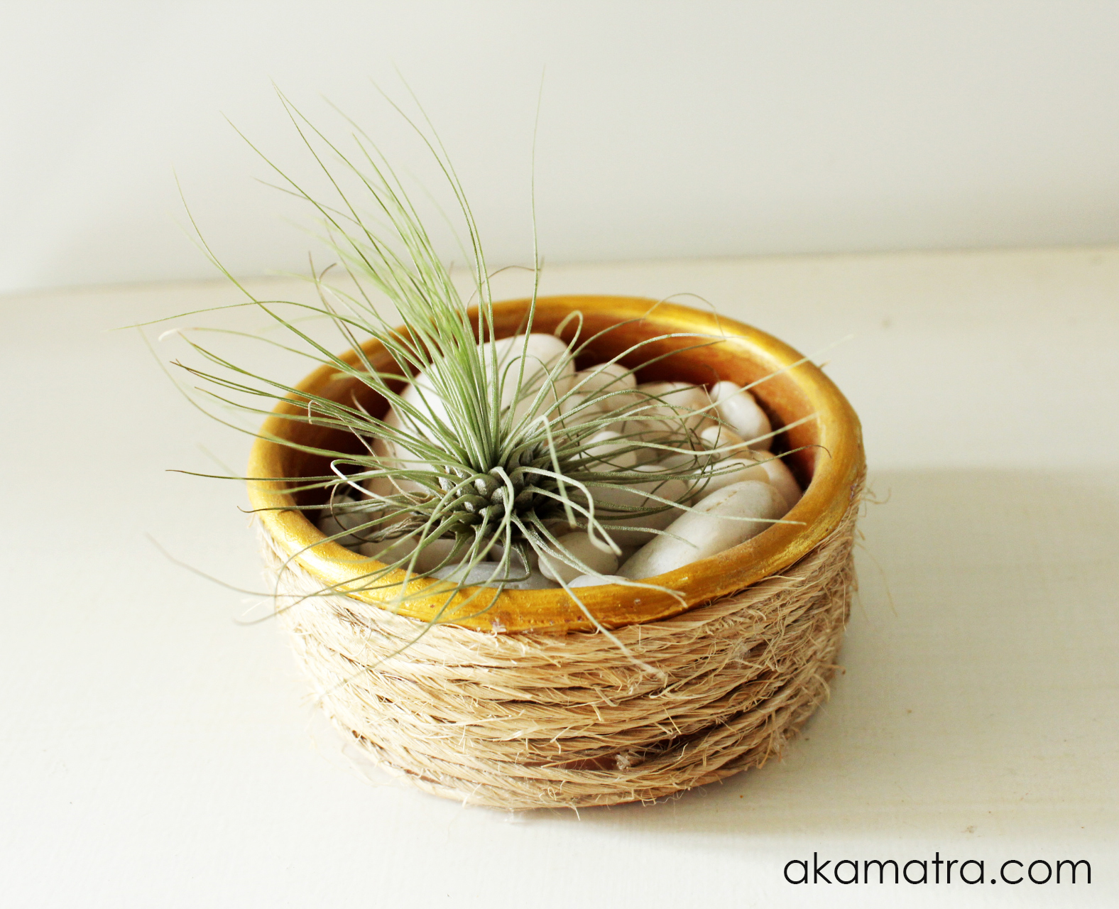 How to make an air plant pot Akamatra