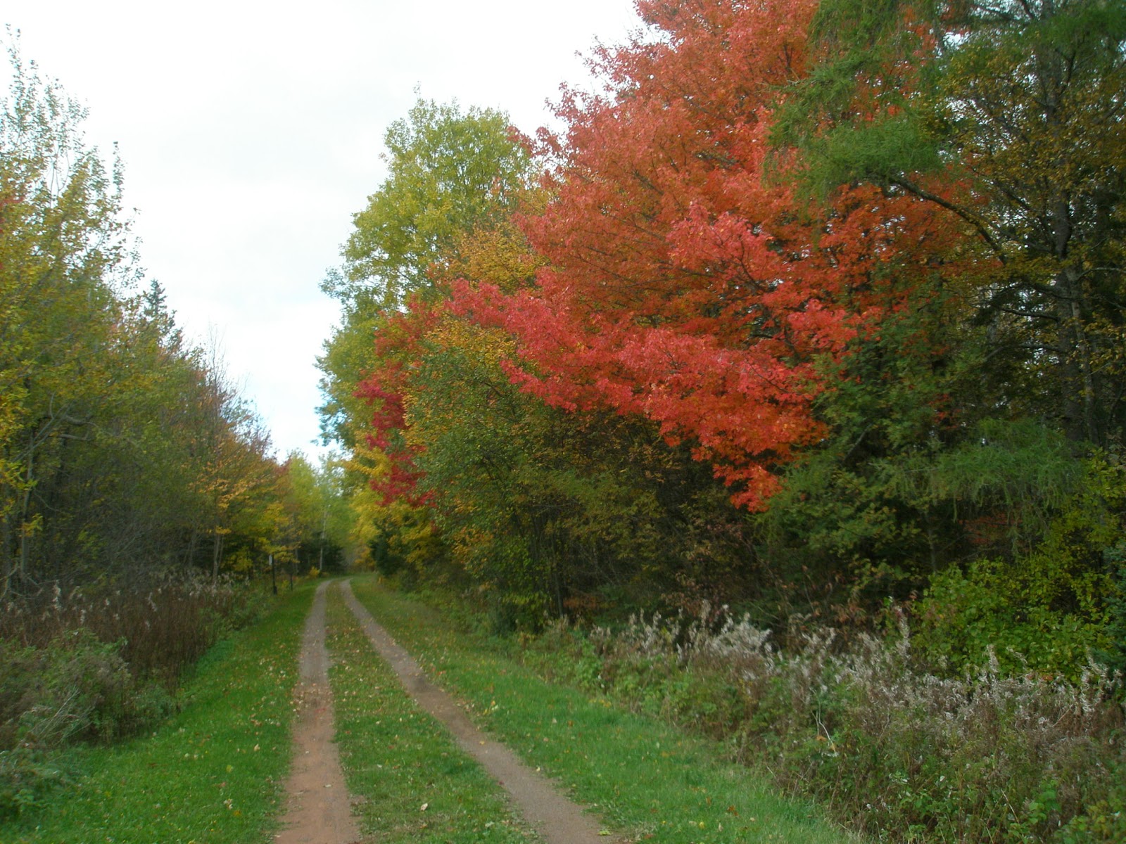 Pedaling PEI Hunter River